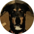 Shannon V. Avatar