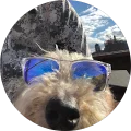 Layne H. Avatar