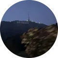 Brody Avatar