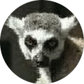 Angela H. Avatar
