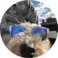 Layne H. Avatar