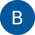 Brian W. Avatar